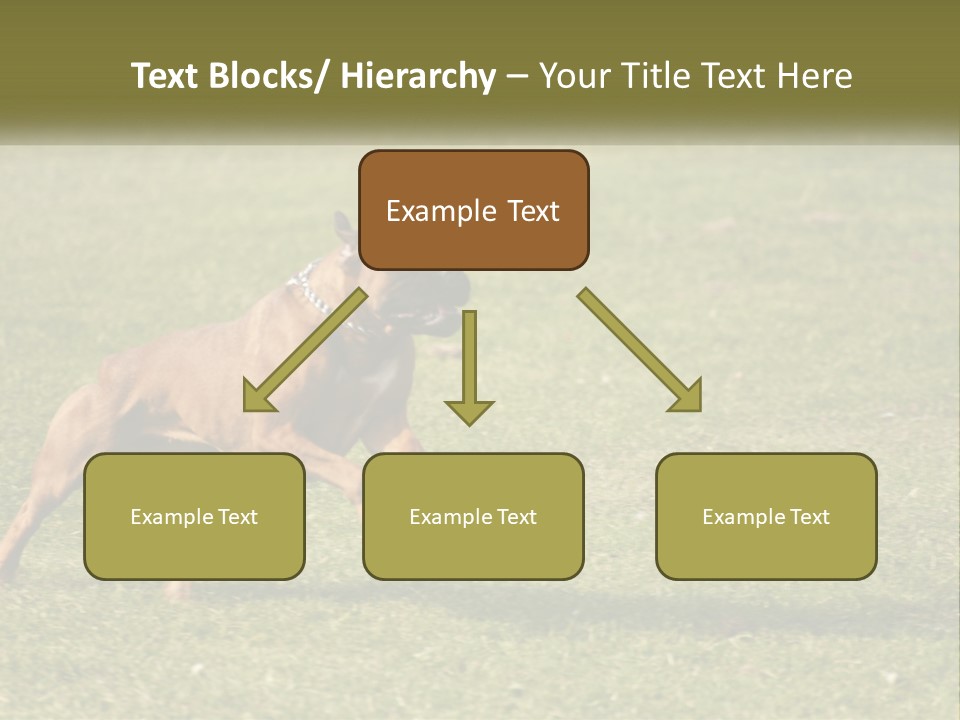 A Brown Dog Running Across A Lush Green Field PowerPoint Template