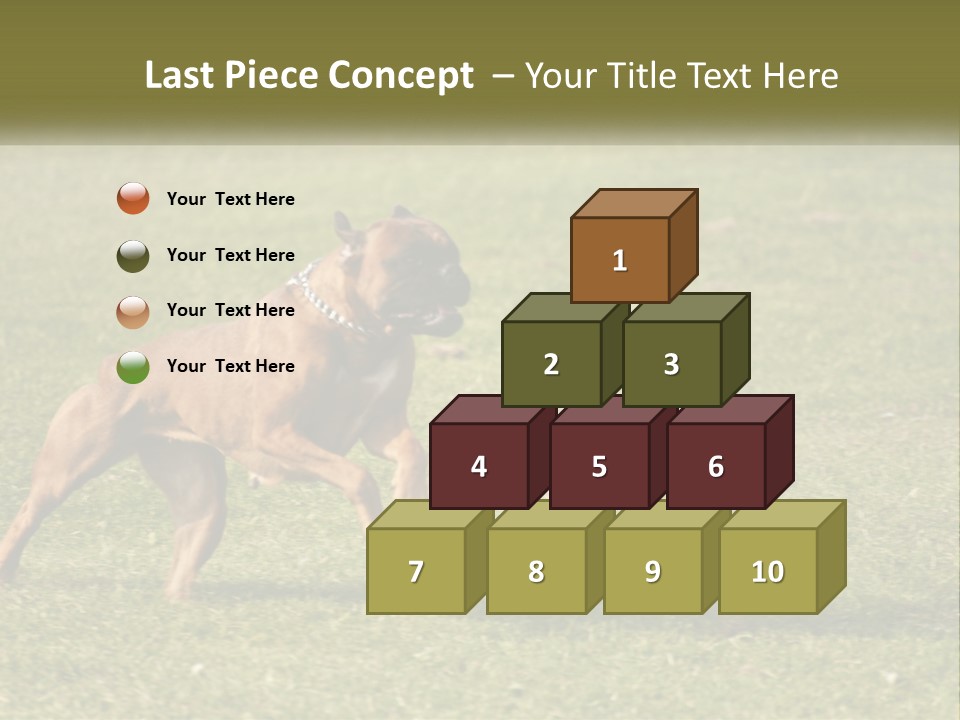 A Brown Dog Running Across A Lush Green Field PowerPoint Template