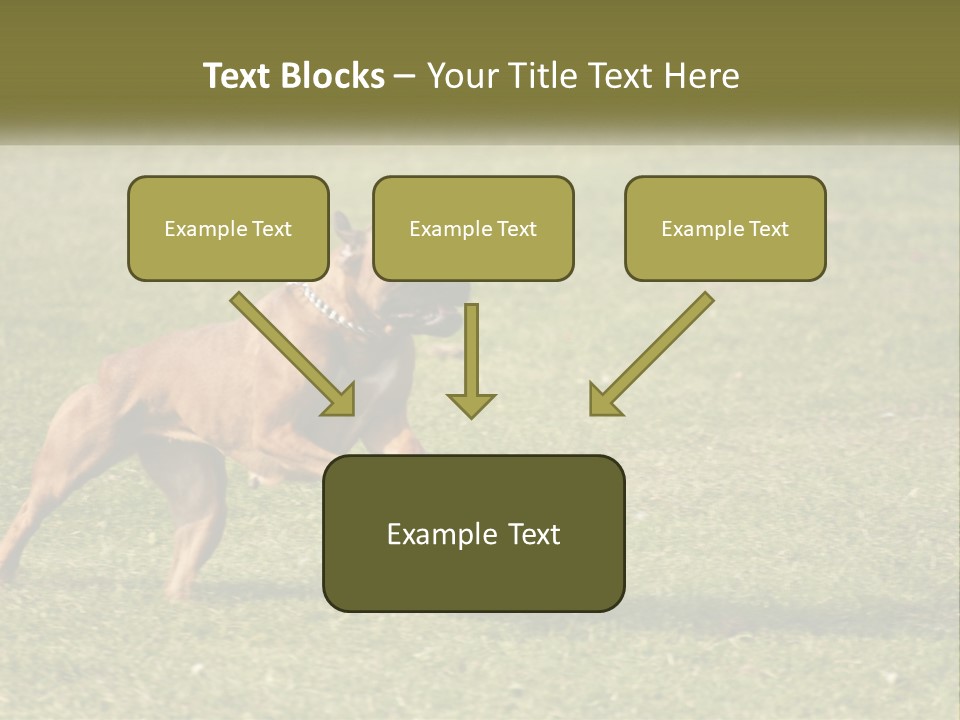 A Brown Dog Running Across A Lush Green Field PowerPoint Template