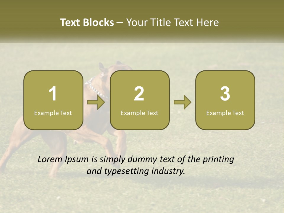 A Brown Dog Running Across A Lush Green Field PowerPoint Template