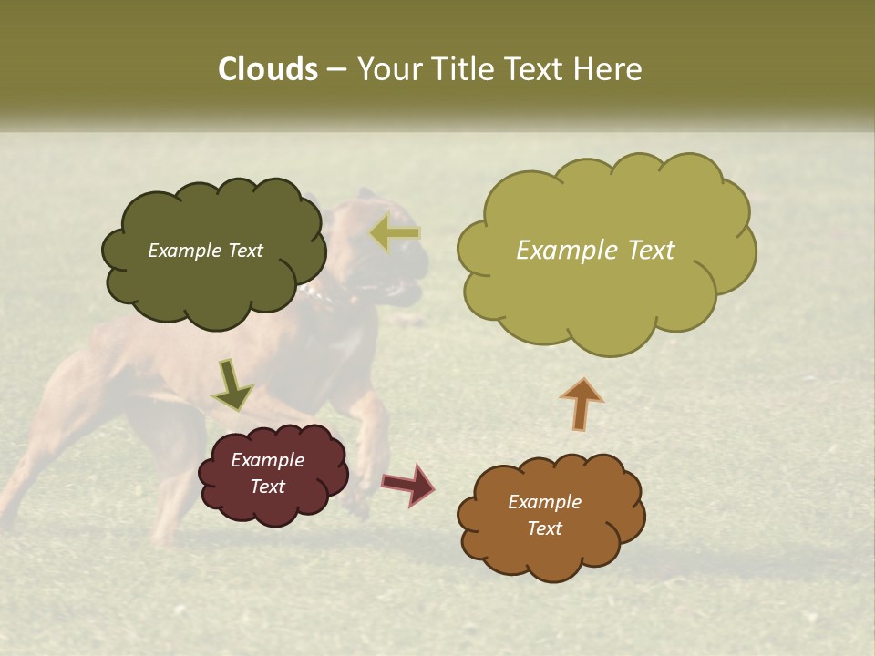 A Brown Dog Running Across A Lush Green Field PowerPoint Template