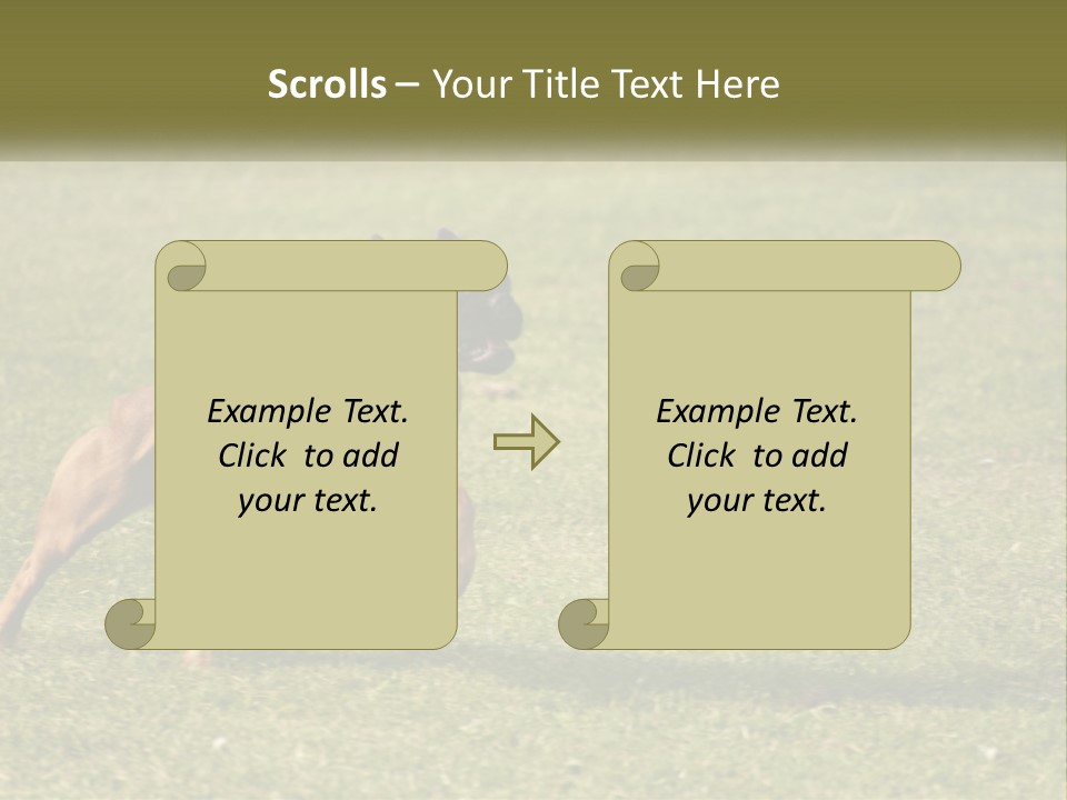 A Brown Dog Running Across A Lush Green Field PowerPoint Template