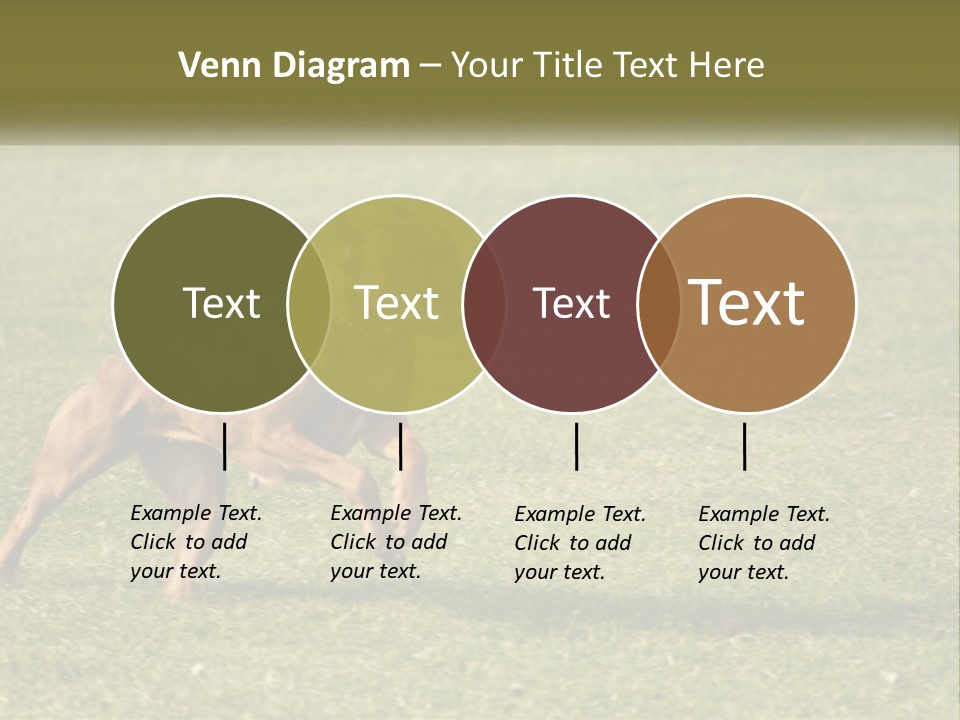 A Brown Dog Running Across A Lush Green Field PowerPoint Template