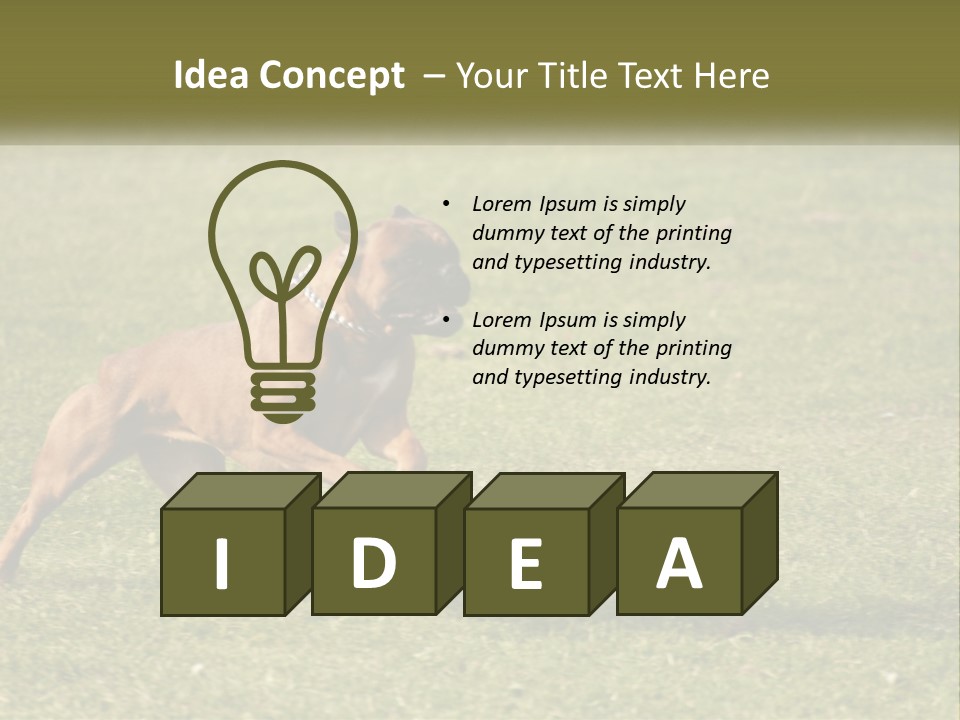 A Brown Dog Running Across A Lush Green Field PowerPoint Template