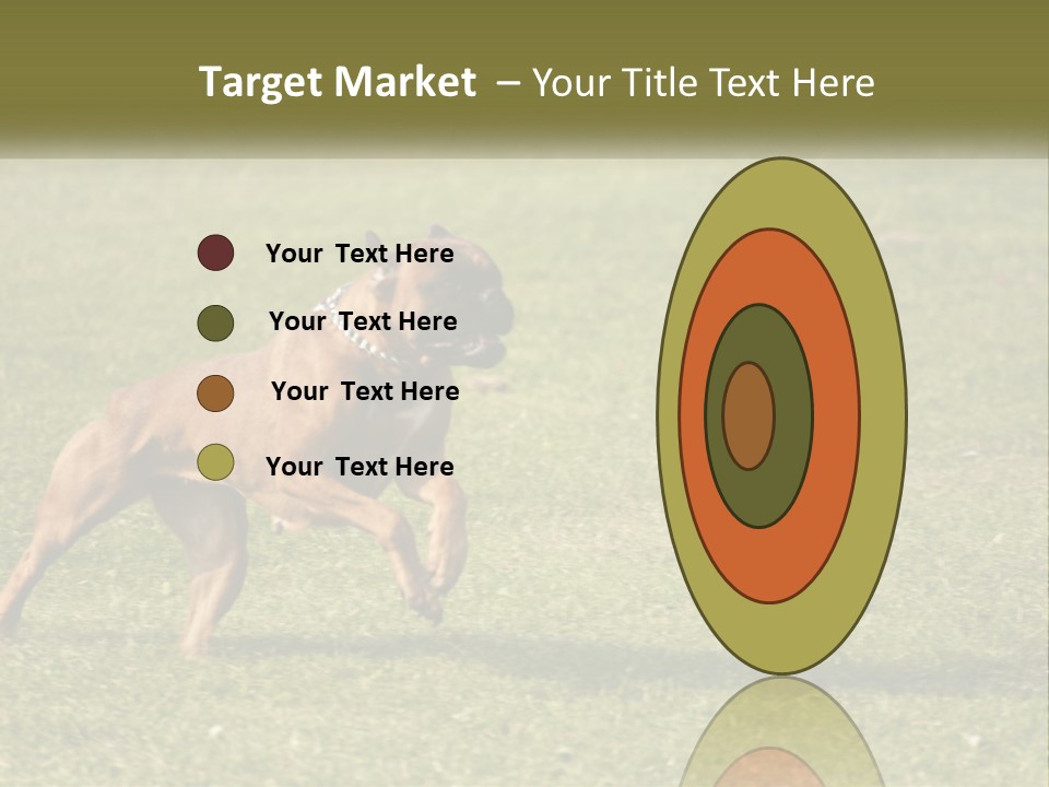 A Brown Dog Running Across A Lush Green Field PowerPoint Template