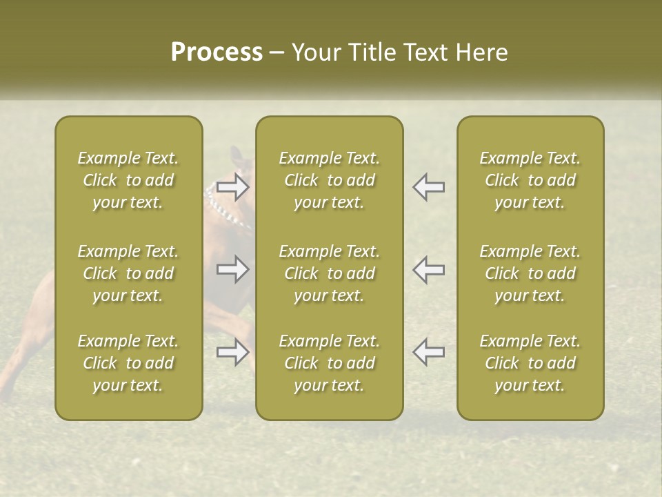 A Brown Dog Running Across A Lush Green Field PowerPoint Template