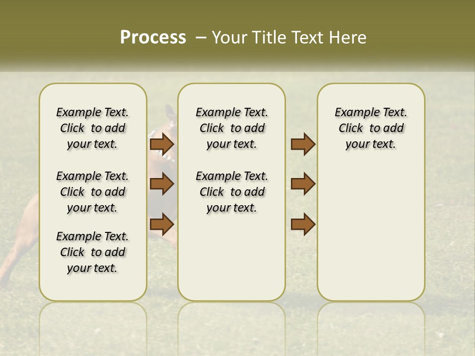 A Brown Dog Running Across A Lush Green Field PowerPoint Template