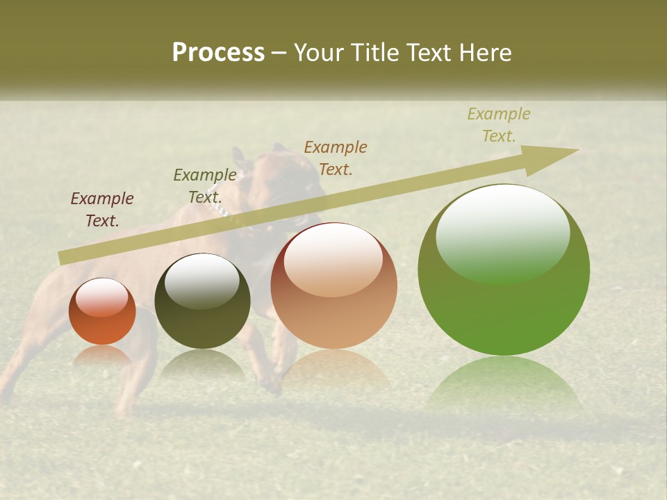 A Brown Dog Running Across A Lush Green Field PowerPoint Template