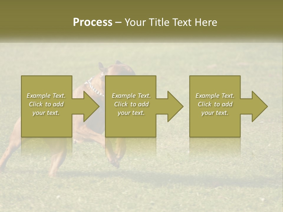 A Brown Dog Running Across A Lush Green Field PowerPoint Template