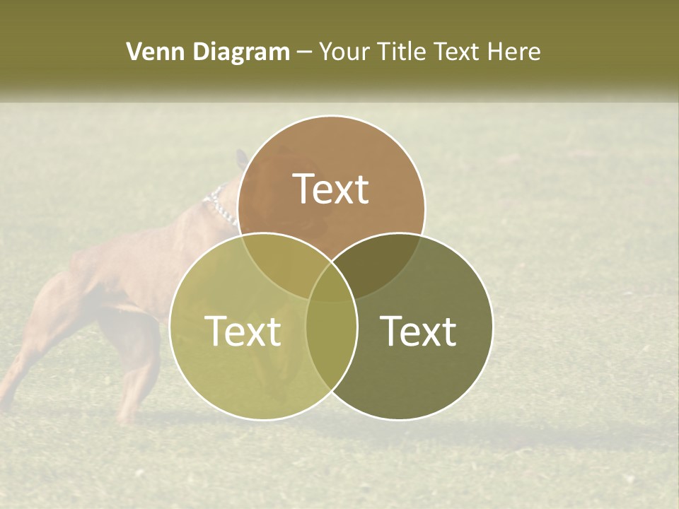 A Brown Dog Running Across A Lush Green Field PowerPoint Template