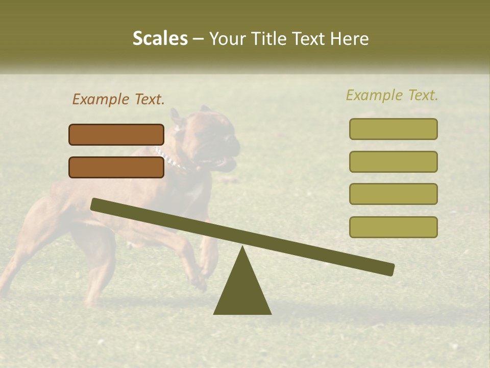 A Brown Dog Running Across A Lush Green Field PowerPoint Template