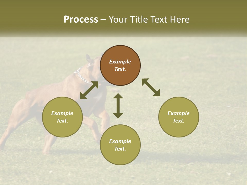 A Brown Dog Running Across A Lush Green Field PowerPoint Template