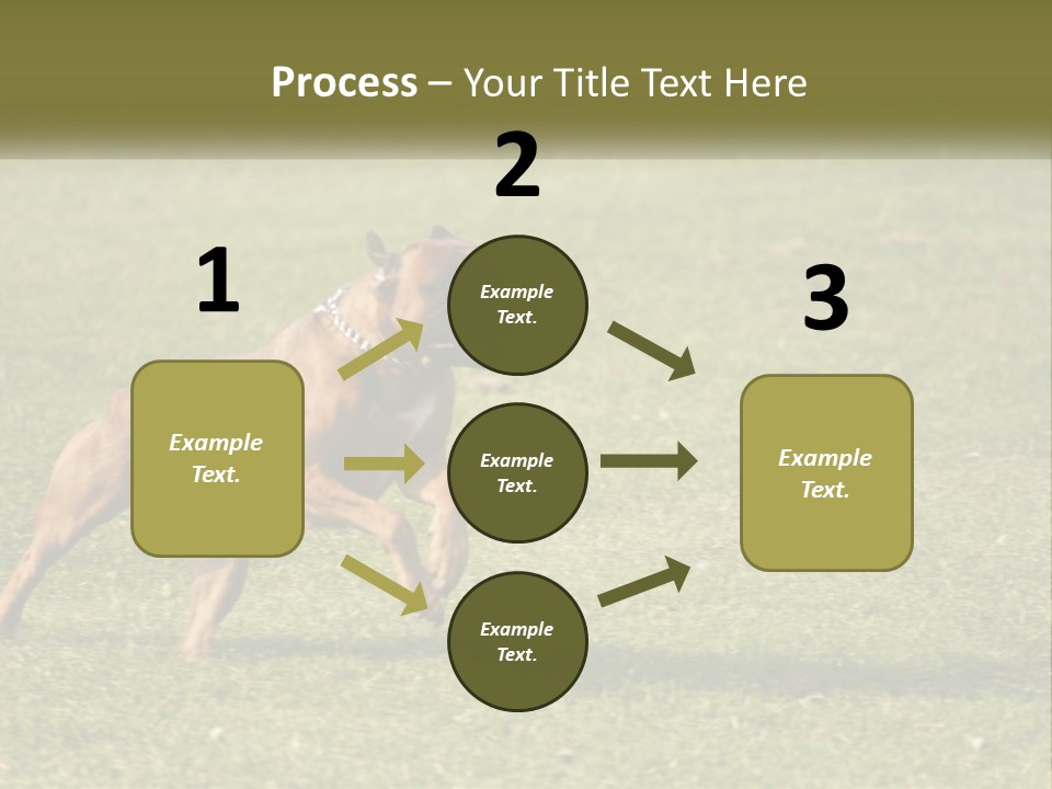 A Brown Dog Running Across A Lush Green Field PowerPoint Template