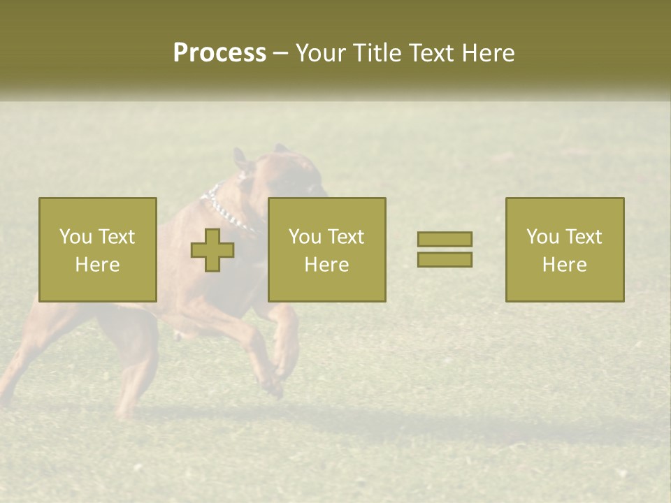 A Brown Dog Running Across A Lush Green Field PowerPoint Template