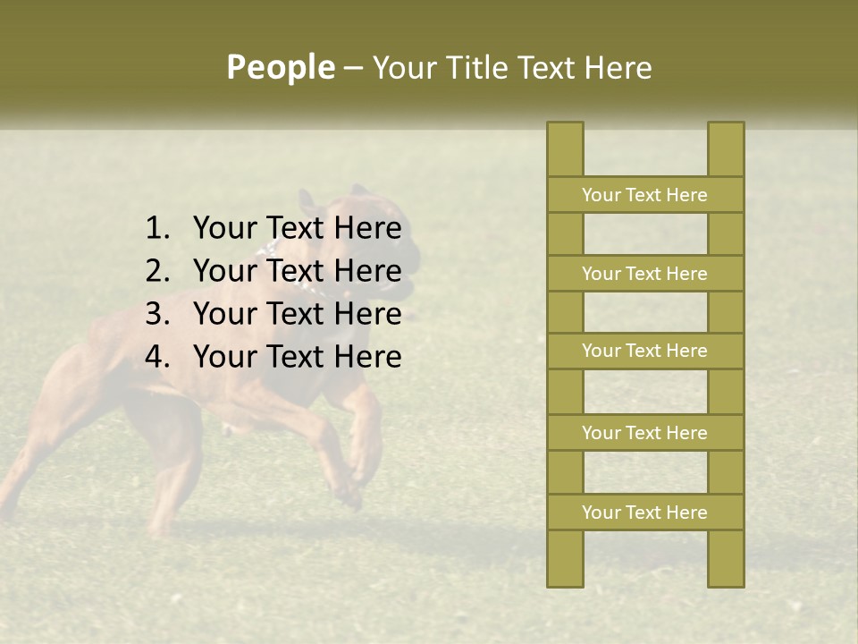 A Brown Dog Running Across A Lush Green Field PowerPoint Template