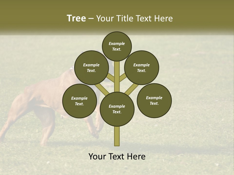 A Brown Dog Running Across A Lush Green Field PowerPoint Template