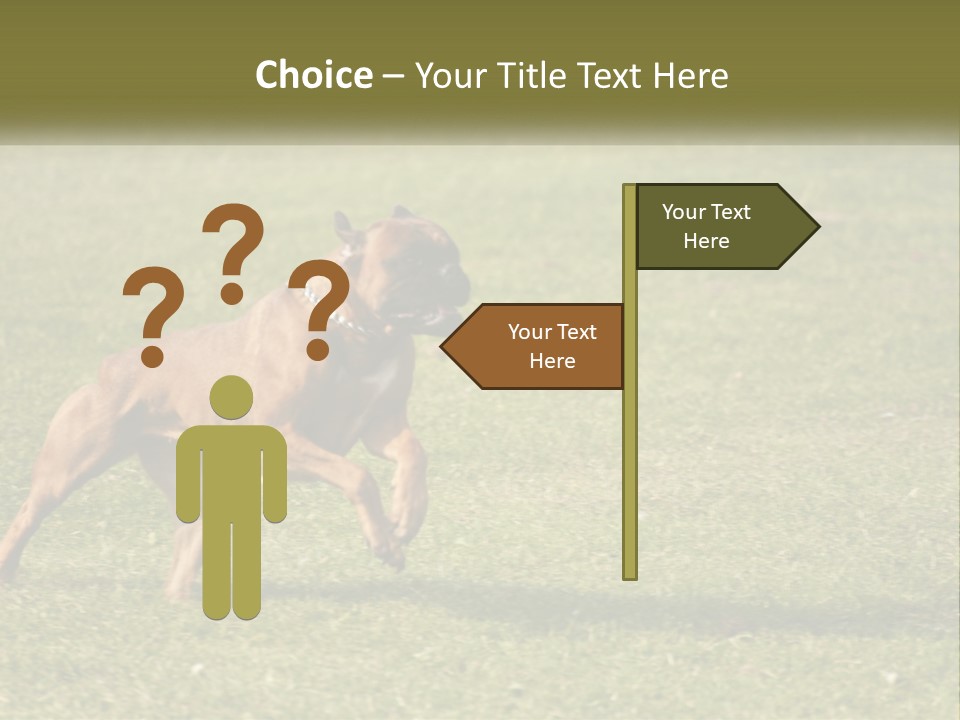 A Brown Dog Running Across A Lush Green Field PowerPoint Template