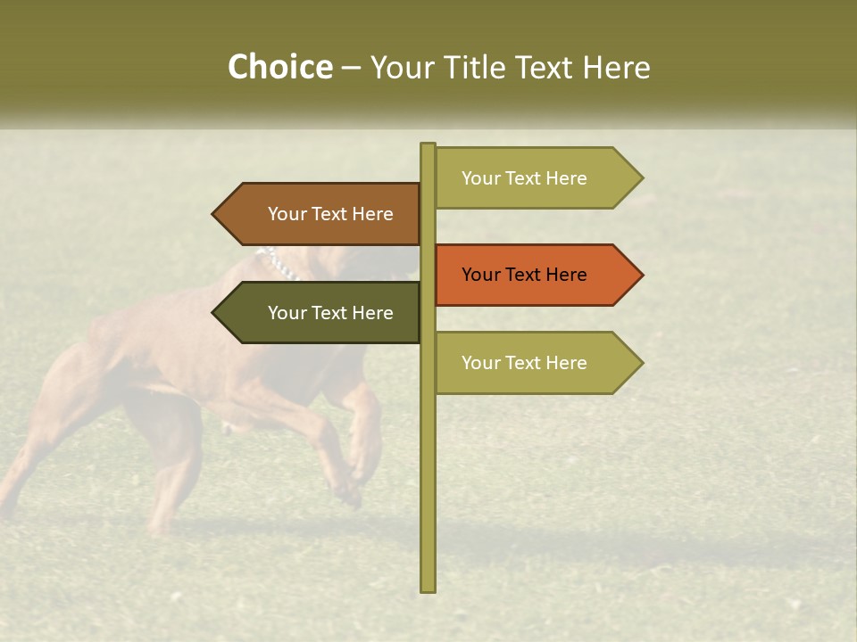 A Brown Dog Running Across A Lush Green Field PowerPoint Template