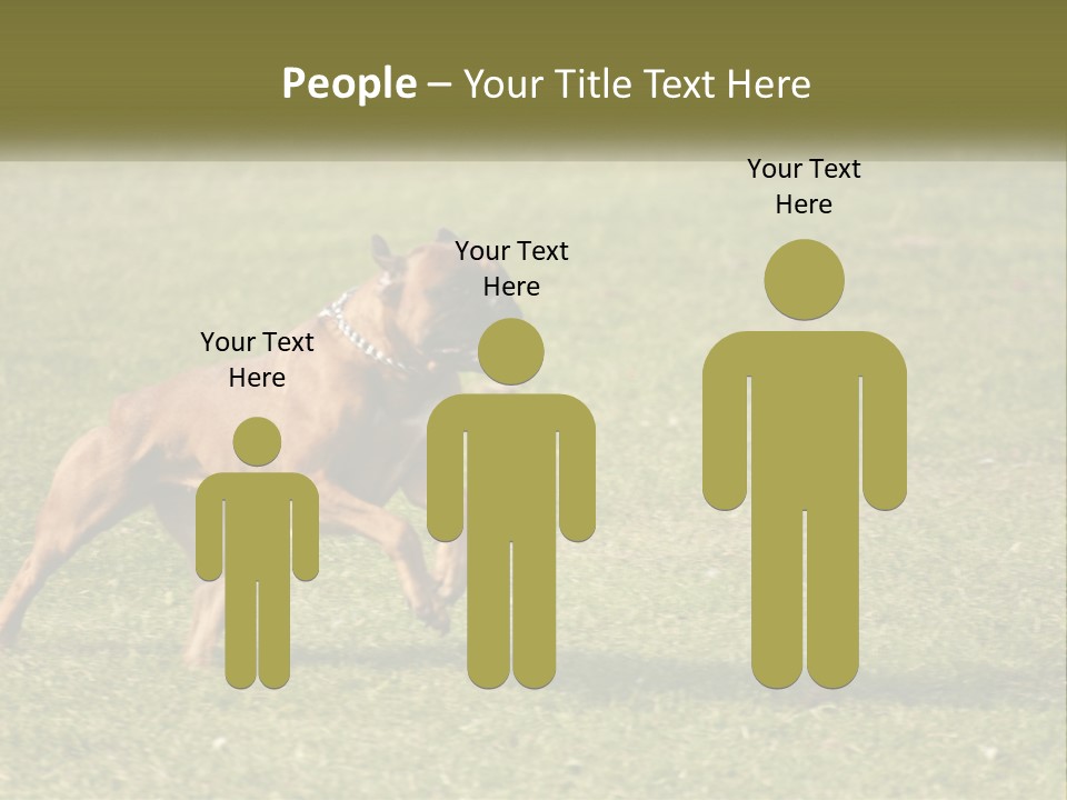 A Brown Dog Running Across A Lush Green Field PowerPoint Template