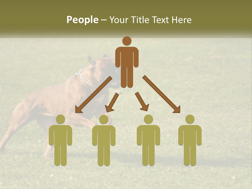 A Brown Dog Running Across A Lush Green Field PowerPoint Template