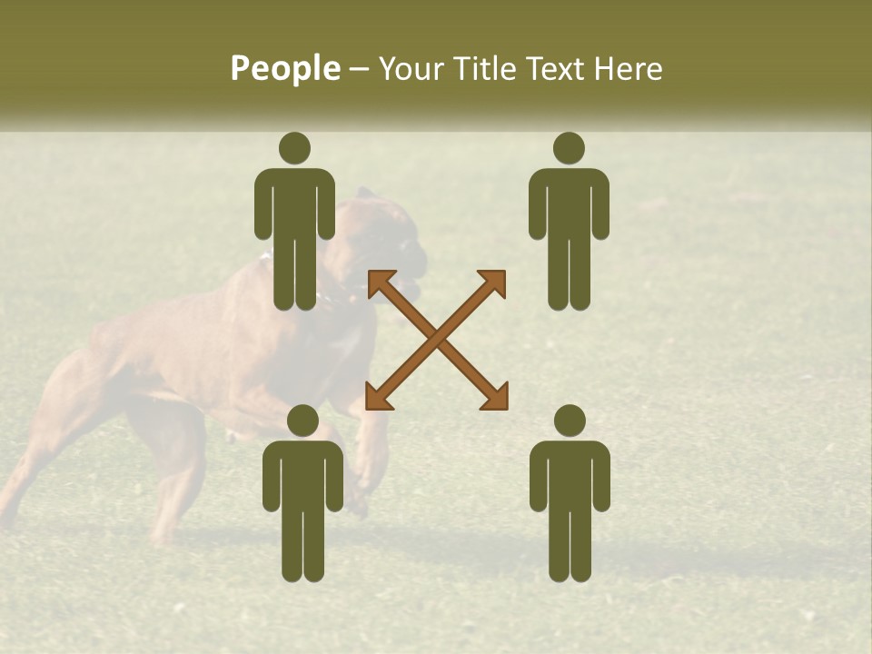 A Brown Dog Running Across A Lush Green Field PowerPoint Template