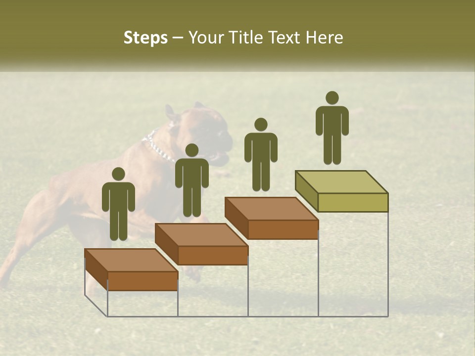 A Brown Dog Running Across A Lush Green Field PowerPoint Template