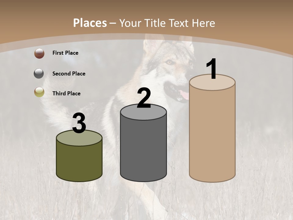 A Dog Is Running Through The Snow In A Field PowerPoint Template