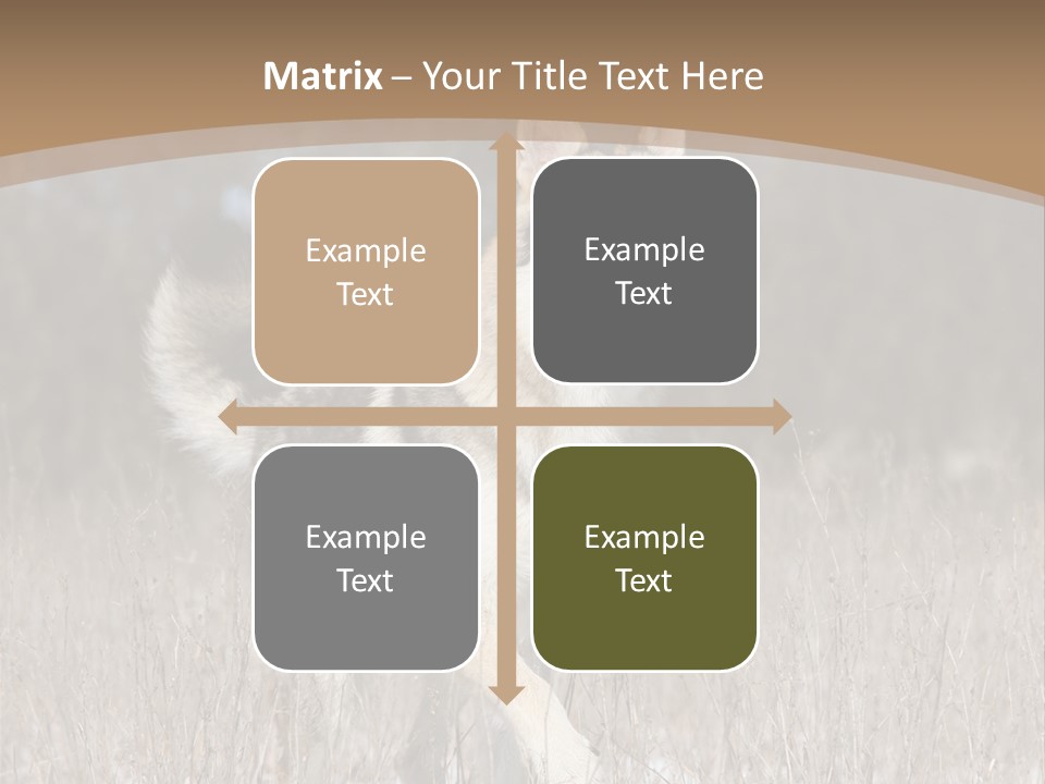 A Dog Is Running Through The Snow In A Field PowerPoint Template