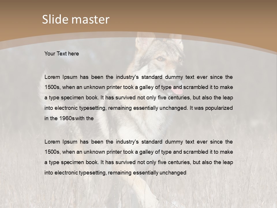 A Dog Is Running Through The Snow In A Field PowerPoint Template