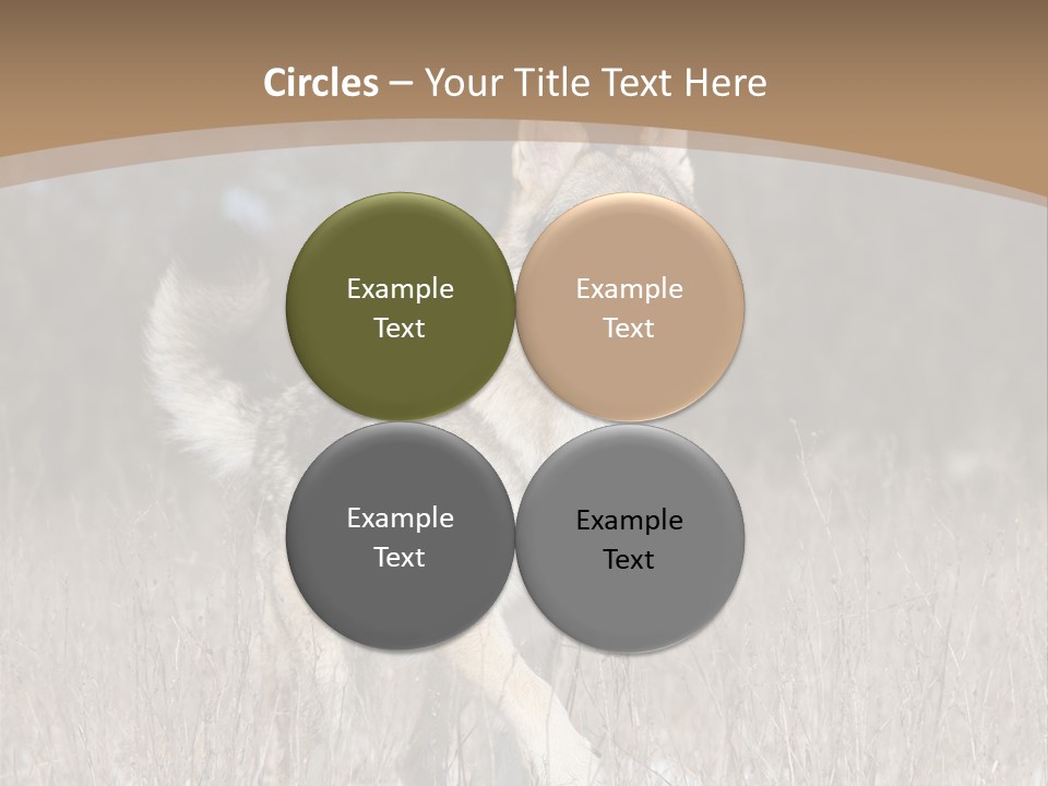 A Dog Is Running Through The Snow In A Field PowerPoint Template