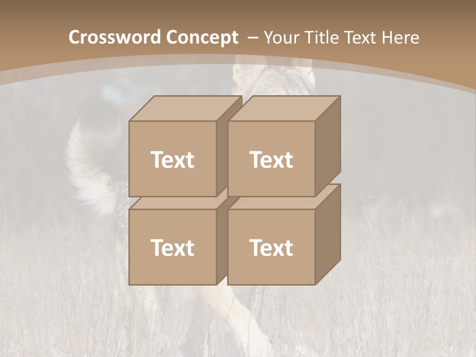 A Dog Is Running Through The Snow In A Field PowerPoint Template