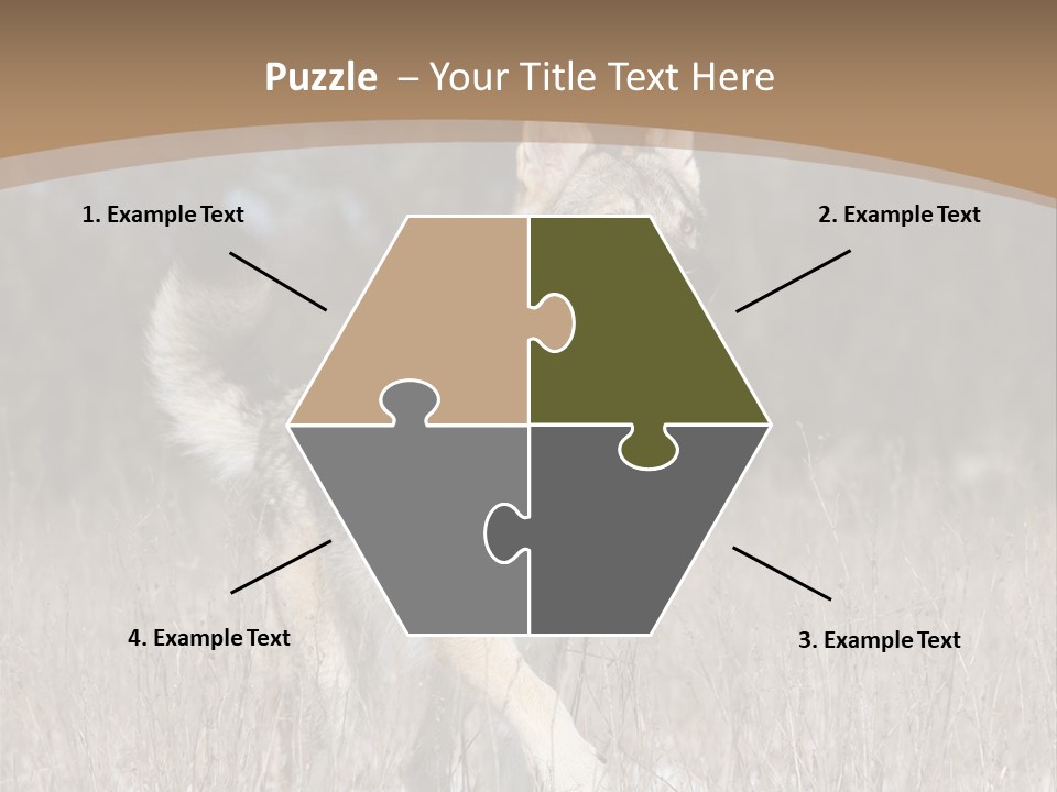 A Dog Is Running Through The Snow In A Field PowerPoint Template