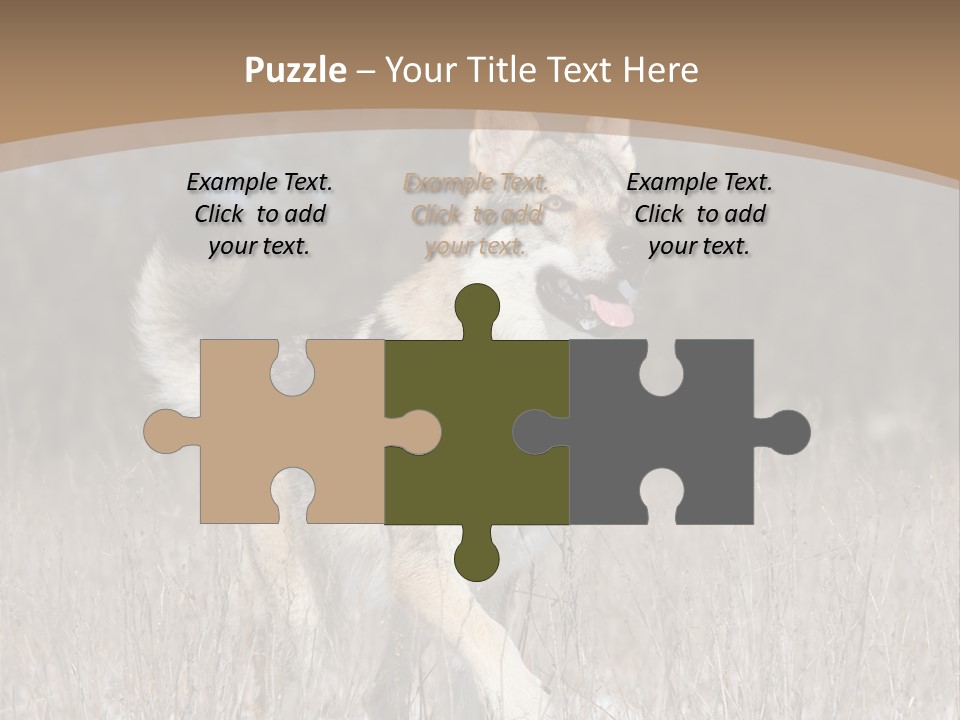 A Dog Is Running Through The Snow In A Field PowerPoint Template