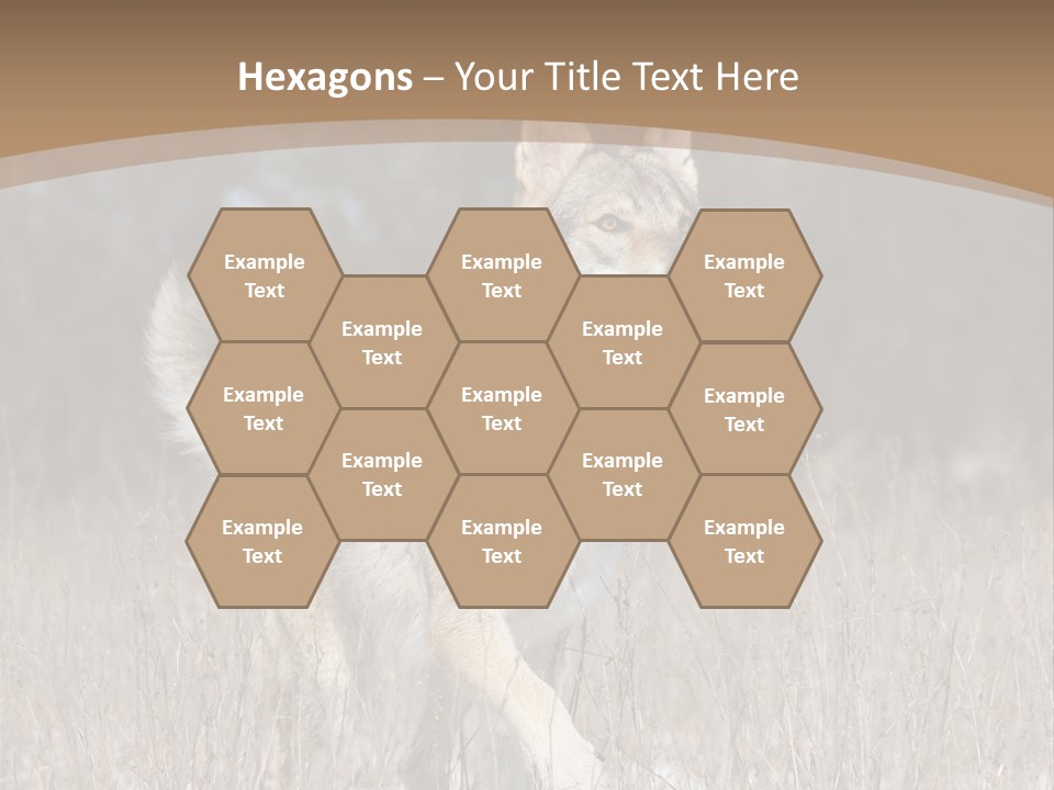 A Dog Is Running Through The Snow In A Field PowerPoint Template