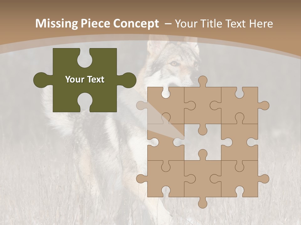 A Dog Is Running Through The Snow In A Field PowerPoint Template