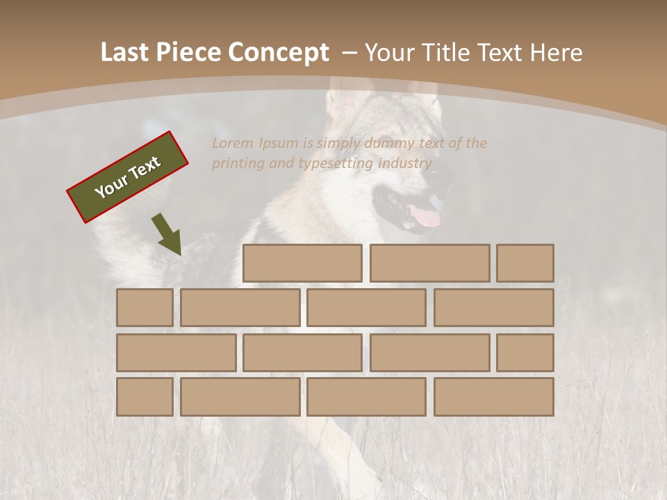 A Dog Is Running Through The Snow In A Field PowerPoint Template