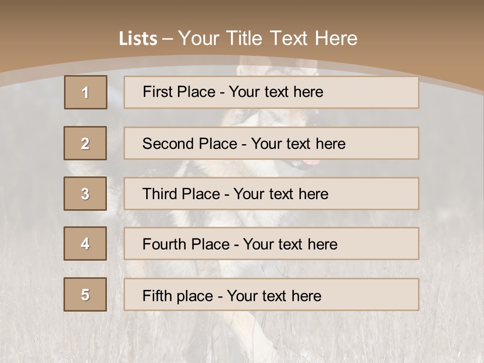 A Dog Is Running Through The Snow In A Field PowerPoint Template