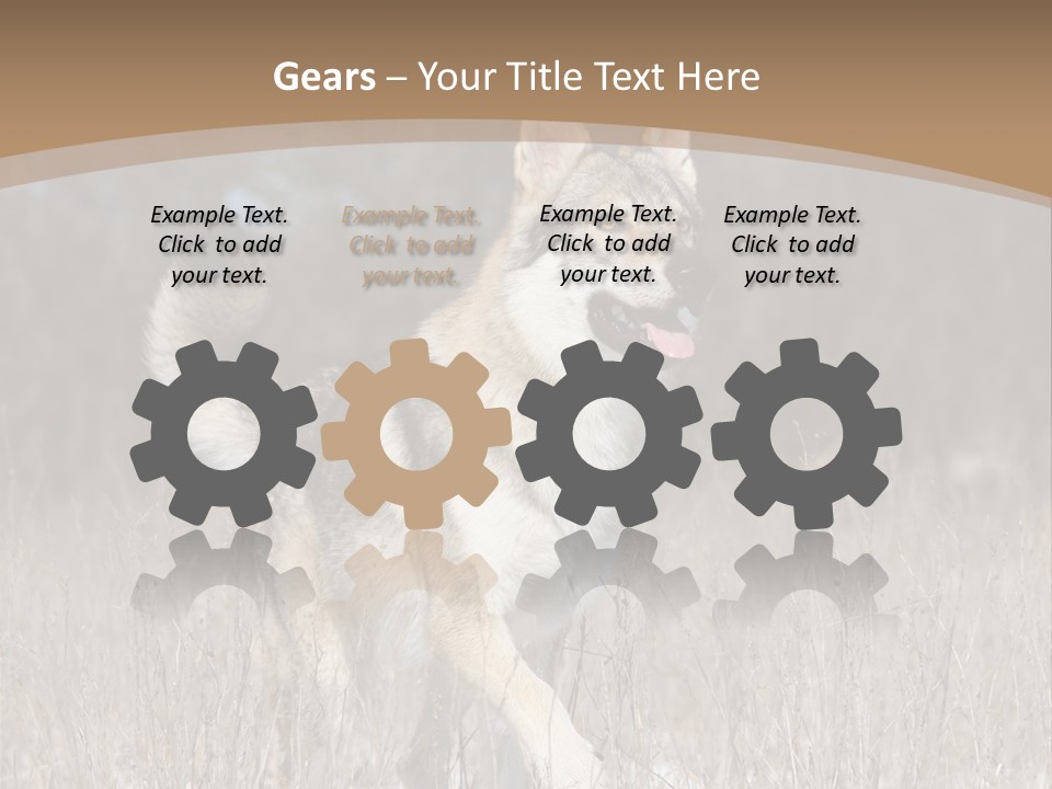 A Dog Is Running Through The Snow In A Field PowerPoint Template