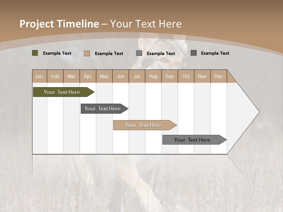 A Dog Is Running Through The Snow In A Field PowerPoint Template