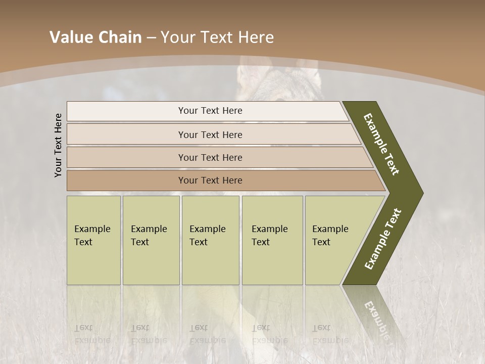A Dog Is Running Through The Snow In A Field PowerPoint Template