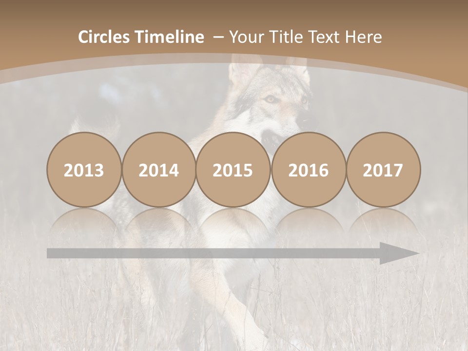 A Dog Is Running Through The Snow In A Field PowerPoint Template