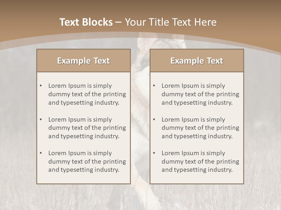 A Dog Is Running Through The Snow In A Field PowerPoint Template