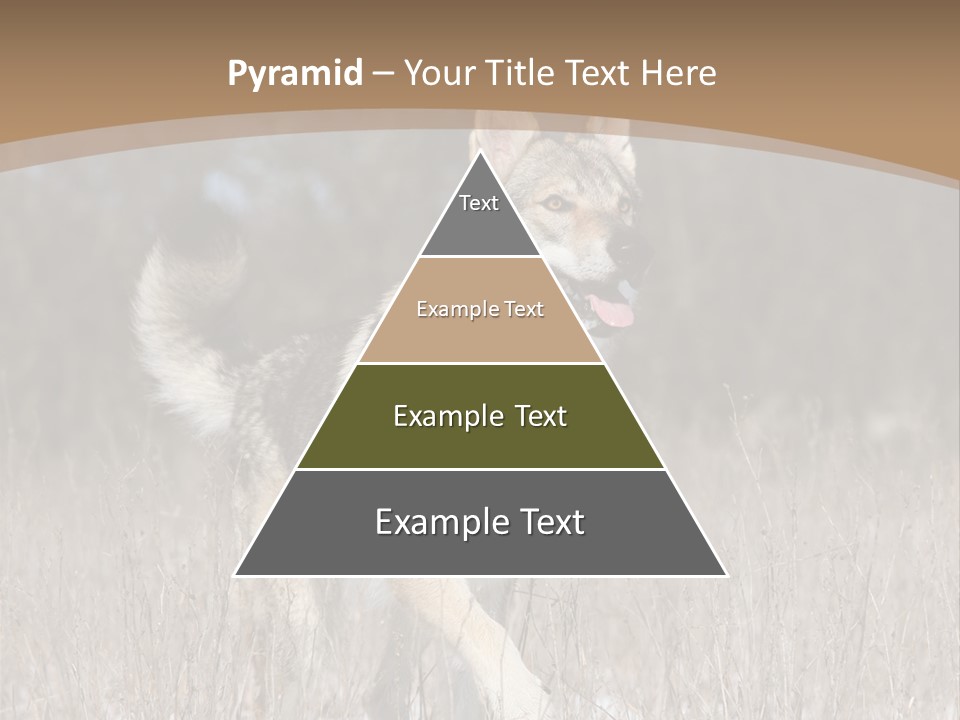 A Dog Is Running Through The Snow In A Field PowerPoint Template