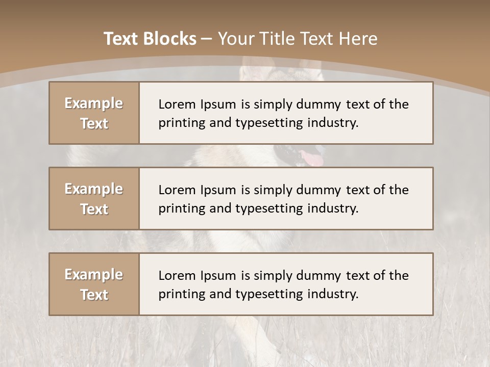 A Dog Is Running Through The Snow In A Field PowerPoint Template