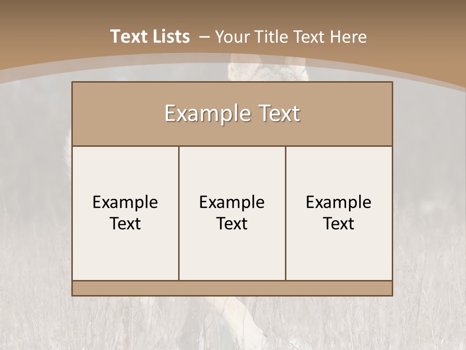 A Dog Is Running Through The Snow In A Field PowerPoint Template