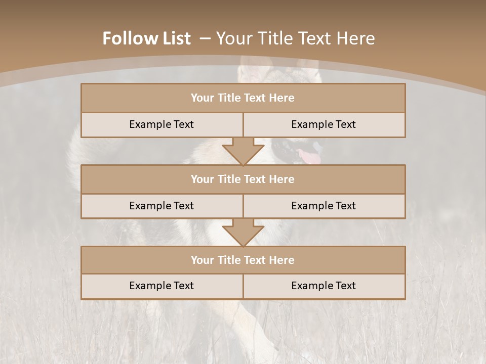 A Dog Is Running Through The Snow In A Field PowerPoint Template