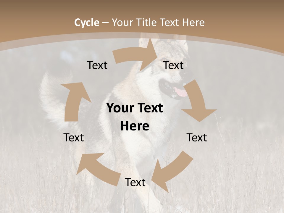 A Dog Is Running Through The Snow In A Field PowerPoint Template