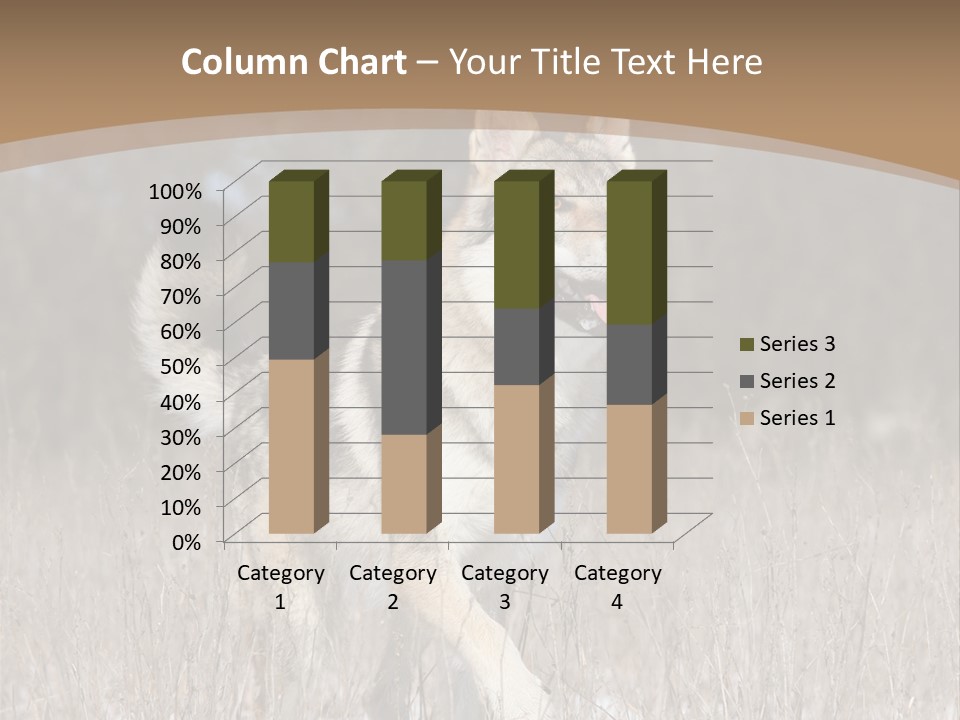 A Dog Is Running Through The Snow In A Field PowerPoint Template