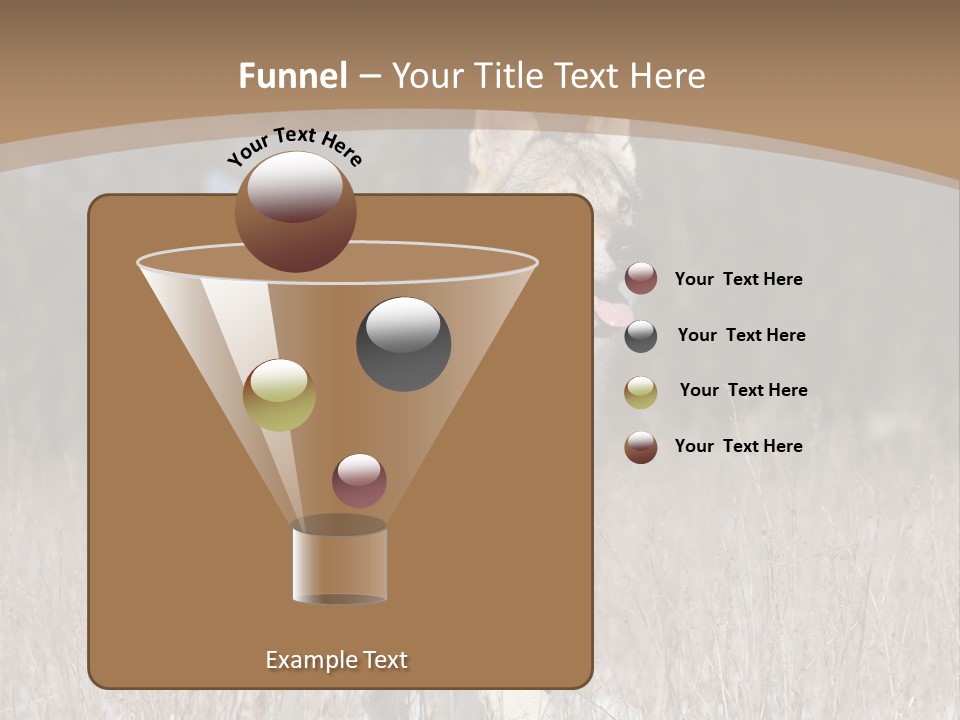 A Dog Is Running Through The Snow In A Field PowerPoint Template