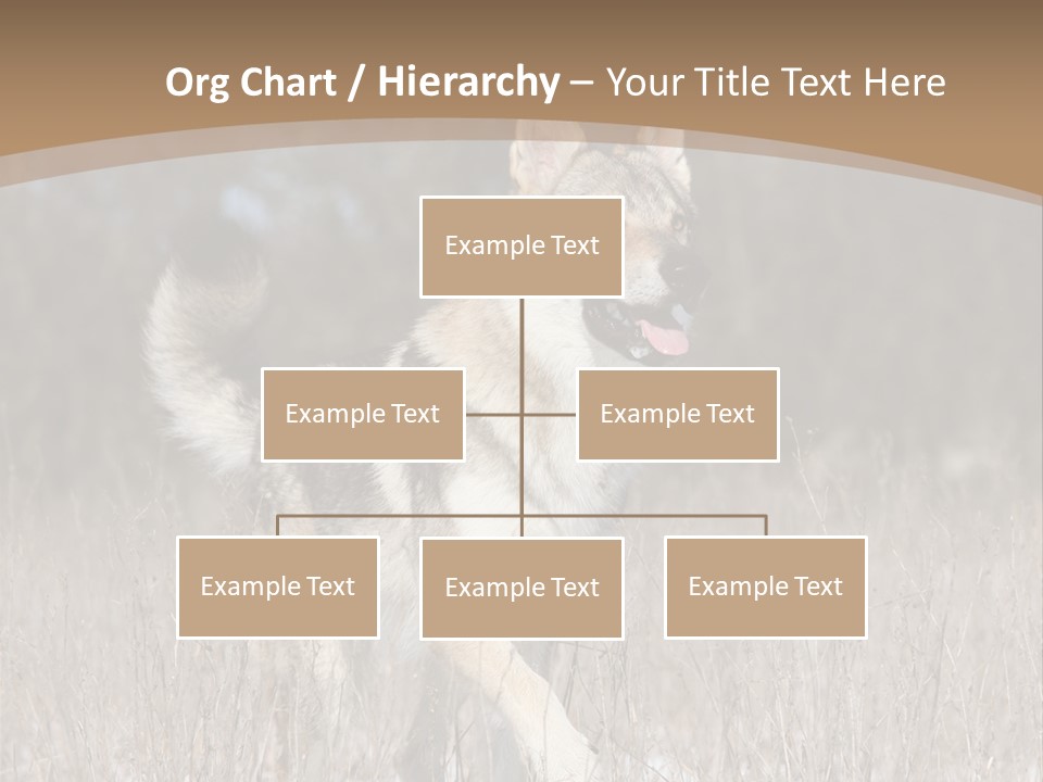 A Dog Is Running Through The Snow In A Field PowerPoint Template